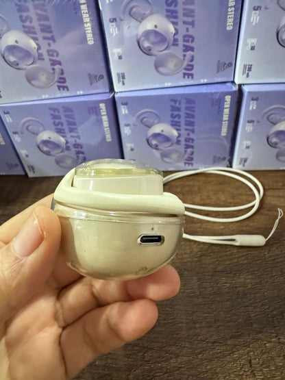 AUDIFONOS CON TRADUCTOR PRO